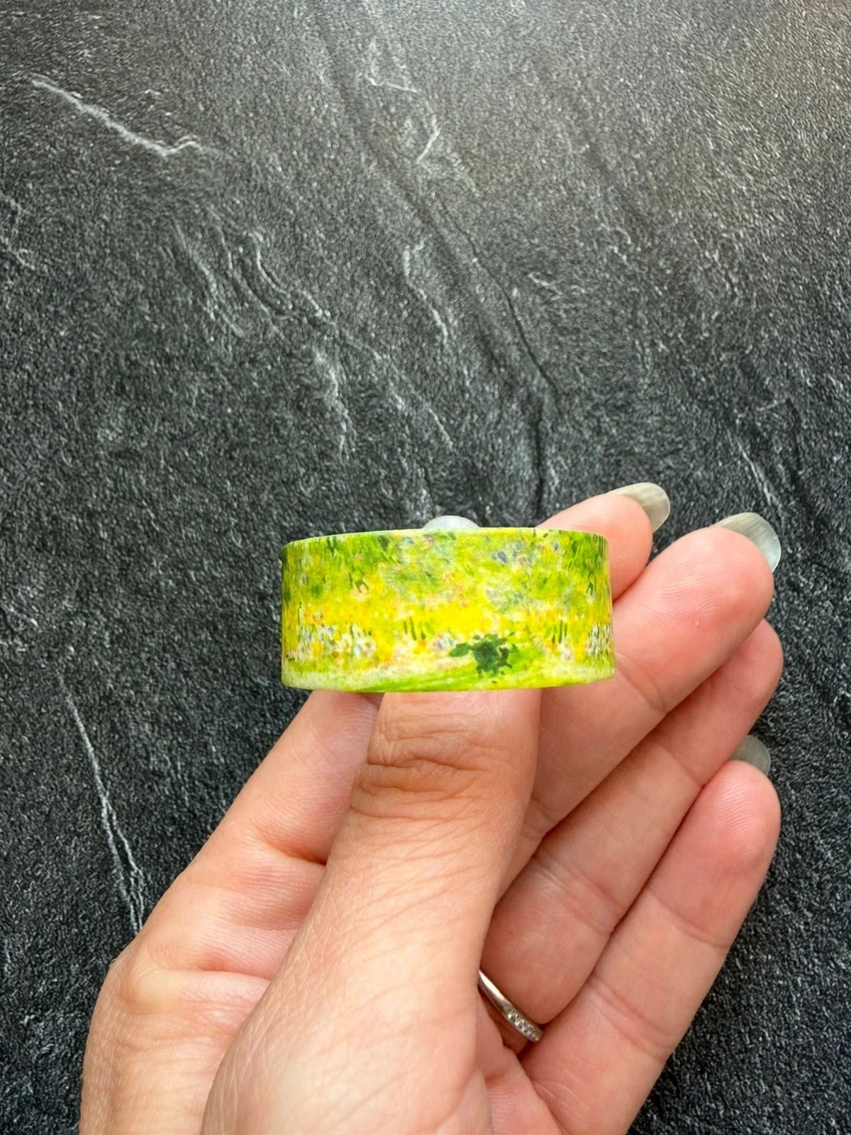Ruban washi thème nature peinture champs herbe – photo 2